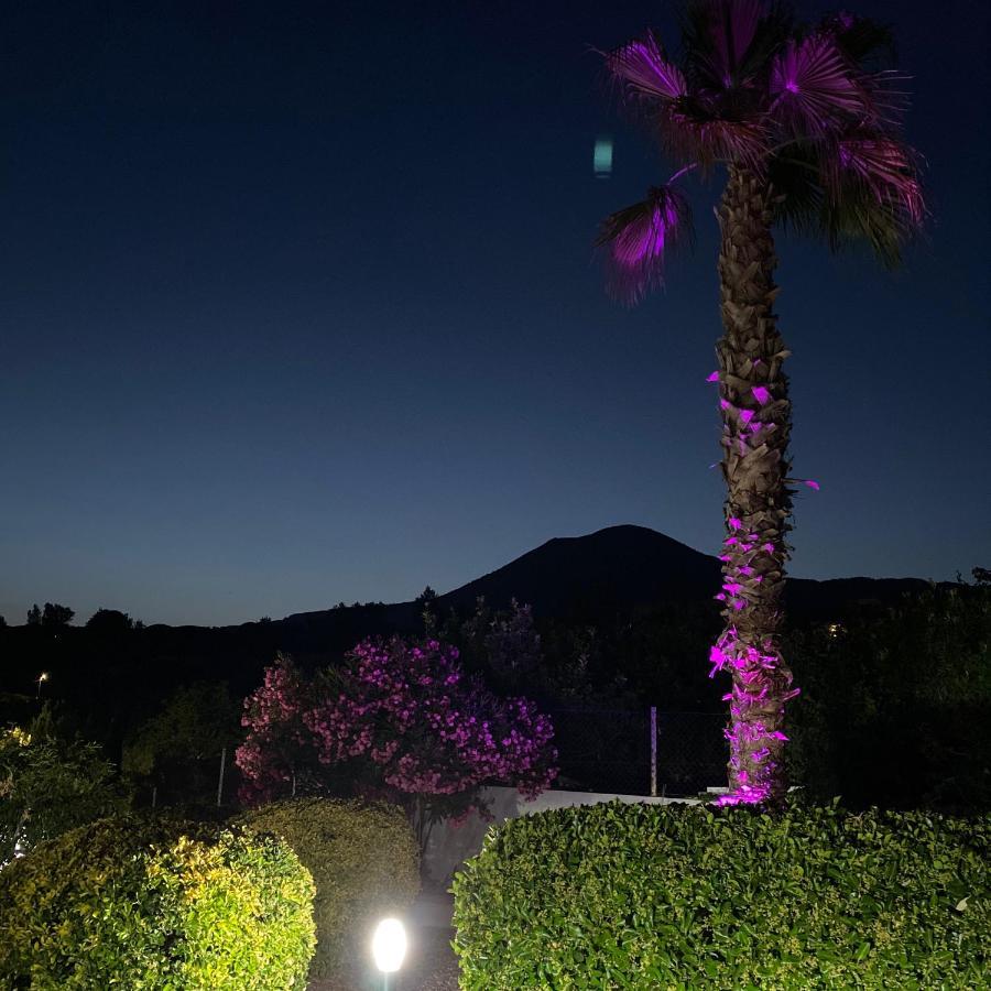 Villa Manzo-Pompei Vesuvius Boscotrecase エクステリア 写真